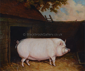 Pig Outside A St By E M Fox, Naive Animal Portrait