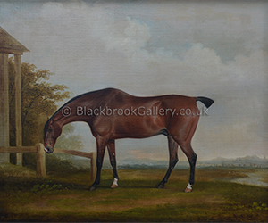 Bay Horse By Thomas Weaver