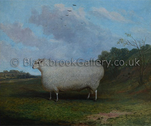 Cotswold Ram In A Landscape By Artist Richard Whitford