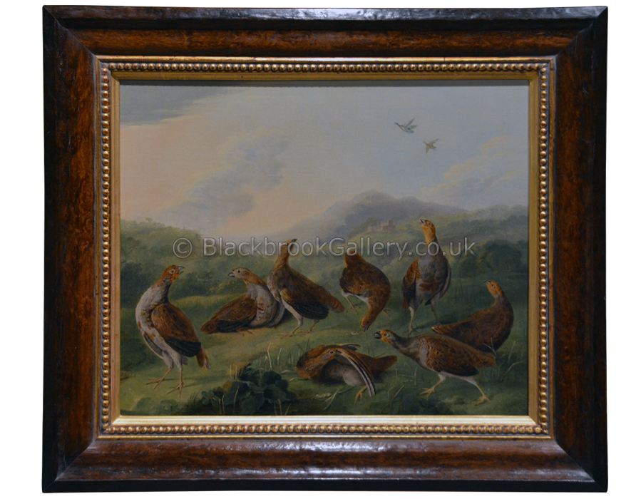 Covey of Partridges, Antique Animal Portrait