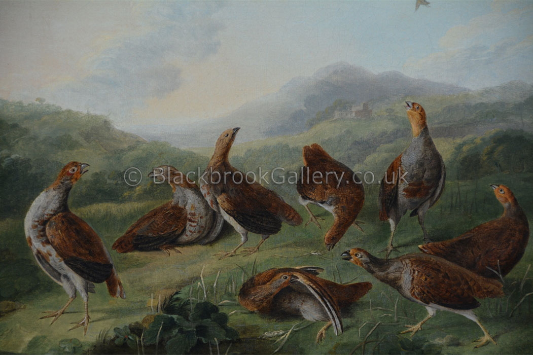 Covey of partridges attributed to Stephen Elmer