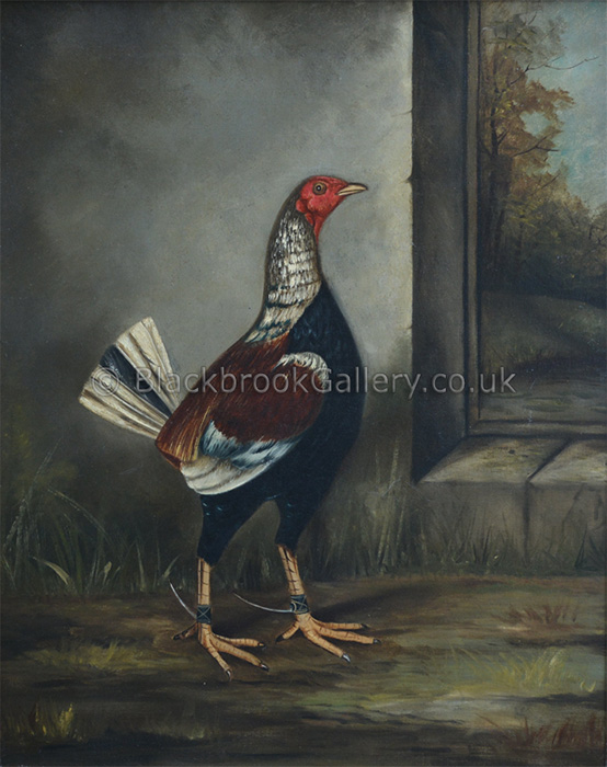 Old English Game Cock By Hilton C Pratt