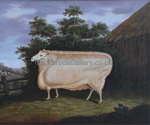 Prize Leicester Ewe By T. Yeomans