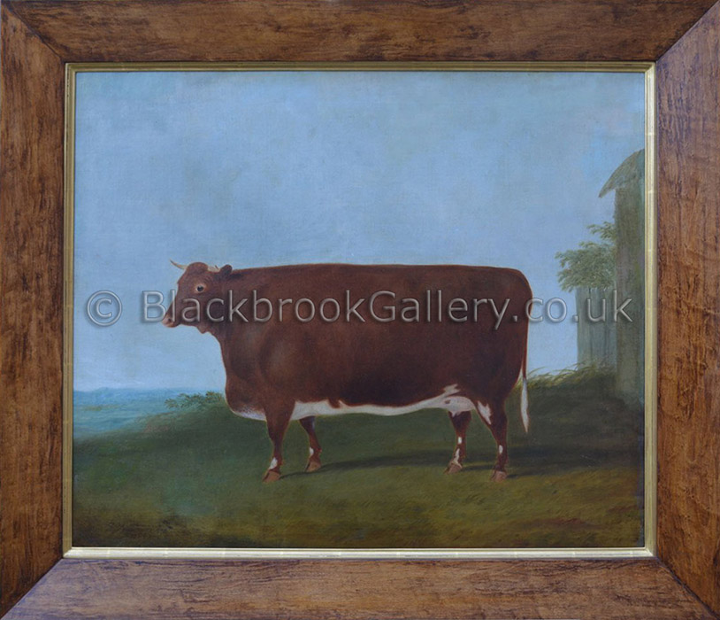 Prize red shorthorn heifer by G.B. Newmarch antique animal paintings