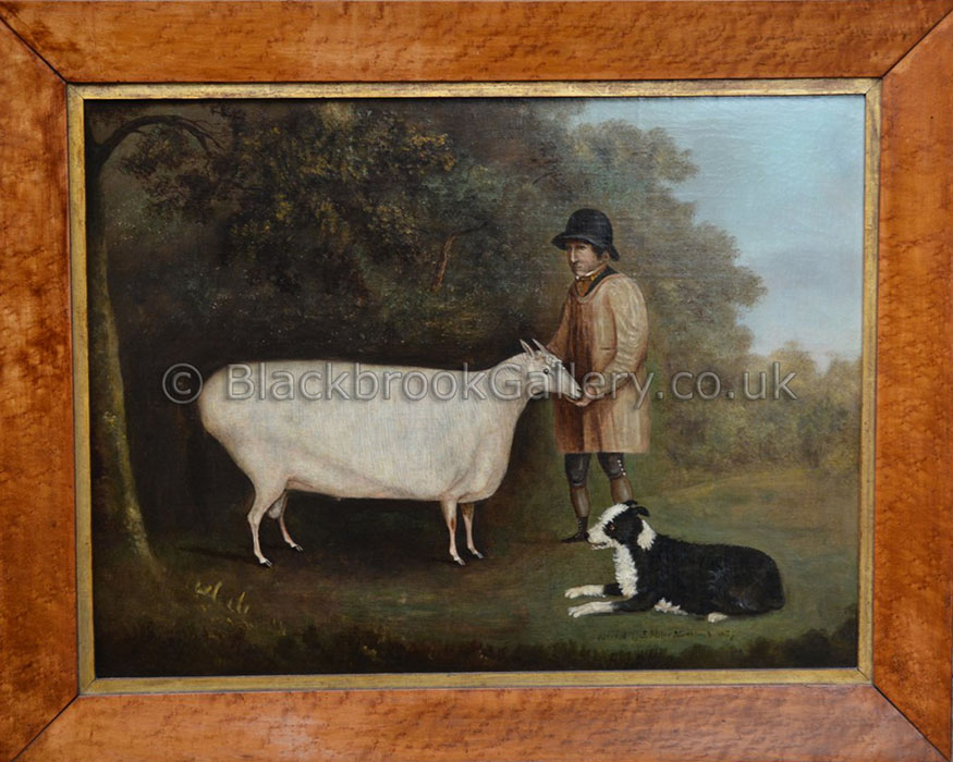 Shepherd with his prize Cotswold Ram & Sheepdog by John Miles