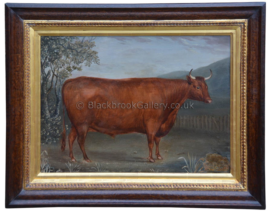 The Red Ayrshire Ox By Artist James Howe