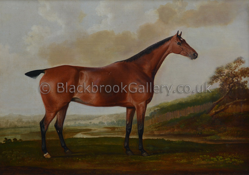 Vanguard bay mare in a landscape by Thomas Weaver