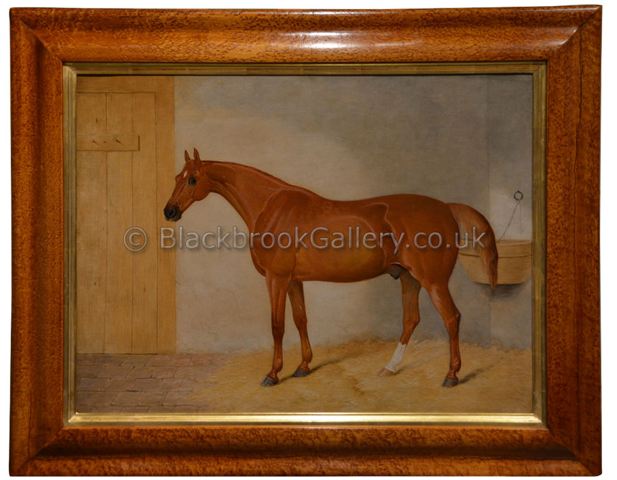 Chestnut Horse In A Stable, Antique Animal Portrait