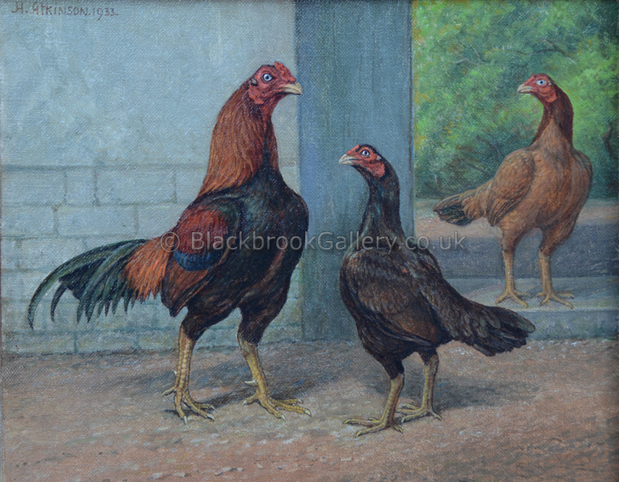 Asil Cock And Two Hens, Antique Animal Paintings