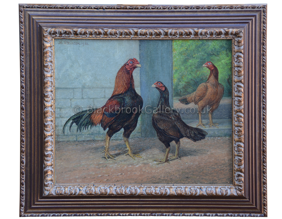 Asil Cock And Two Hens, Antique Animal Portrait