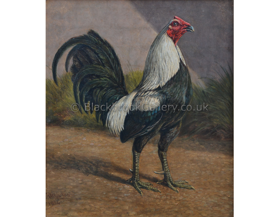 Grey Cock, Antique Animal Painting By H. Atkinson
