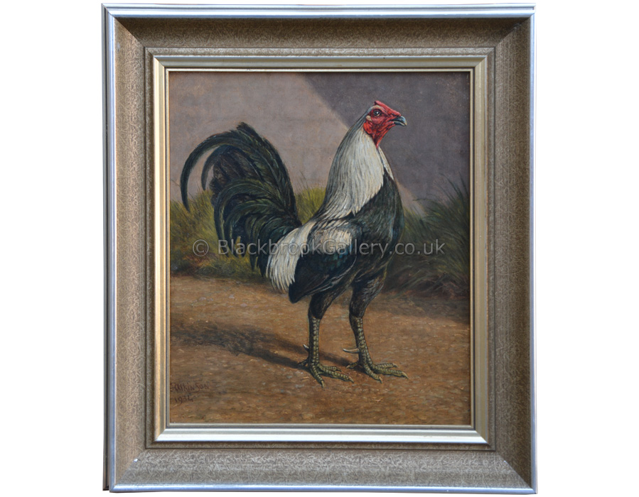 Grey Cock, Antique Animal Portrait By H. Atkinson