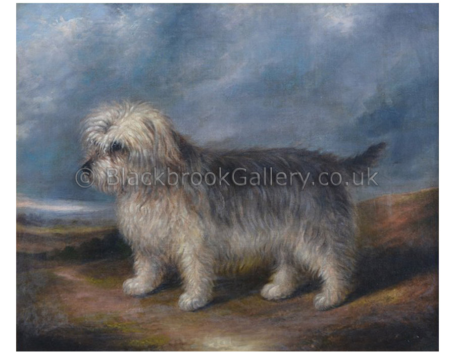 Harry, Portrait of a terrier antique animal paintings