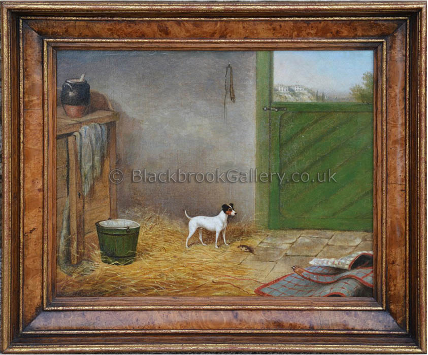 Jack russell terrier in a stable interior with his trophy antique animal portrait