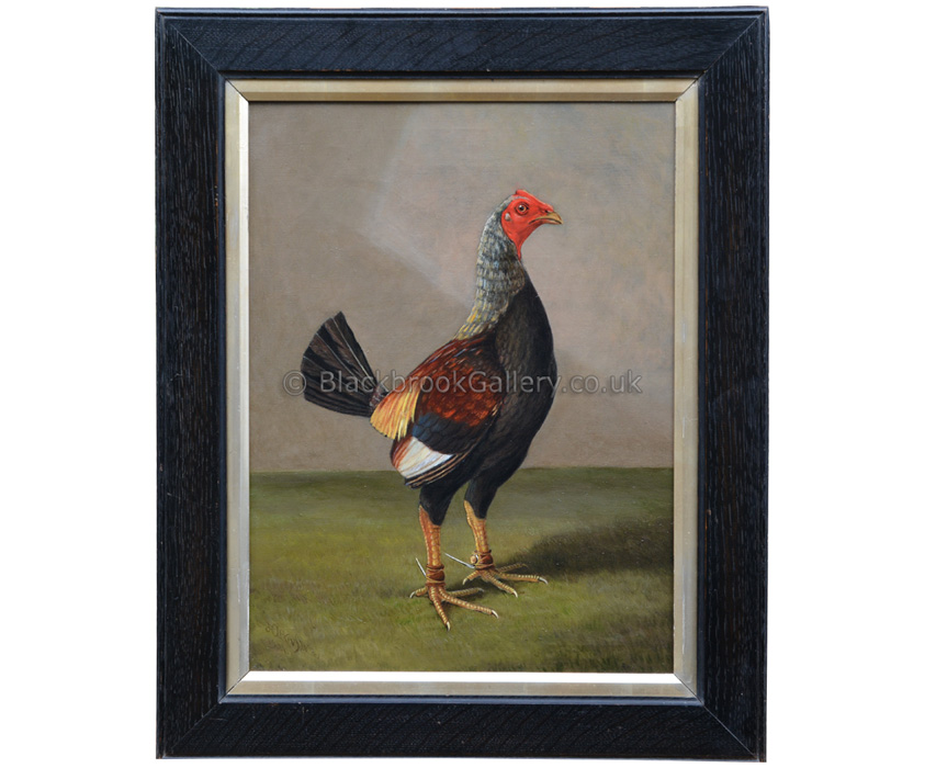Old English Game Cock by Herbert Atkinson antique animal portrait