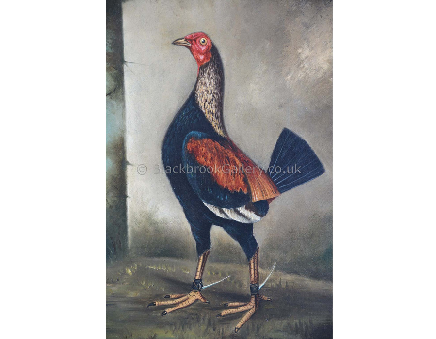 Old English Game Cock by Hilton C. Pratt antique animal paintings