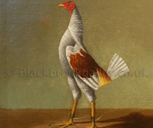 Old English Game Cock by Hilton Lark Pratt naive animal paintings