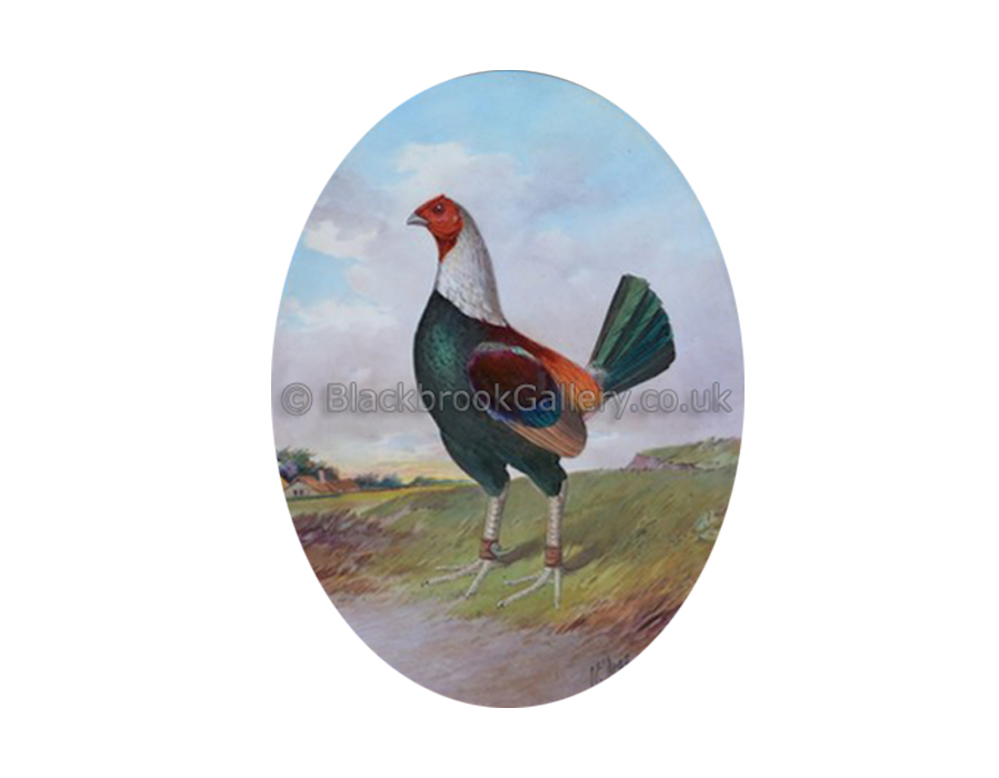 Prize game cock by J.E. Dean antique animal paintings