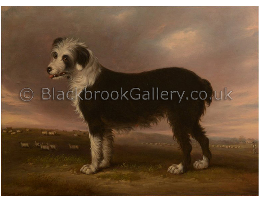 Sheepdog by D. Gee antique animal paintings