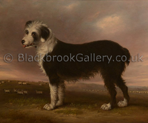 Sheepdog by D. Gee naive animal paintings