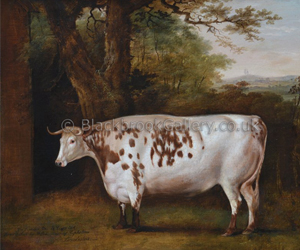 The tupholme ox by thomas weaver naive animal paintings