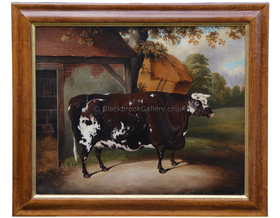 Portrait Of A Cow, Antique Animal Painting