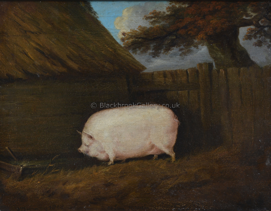 Prize Pig, N. Barton, Antique Animal Painting