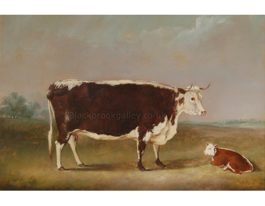 Hereford cow & calf by William Henry Davis antique animal paintings