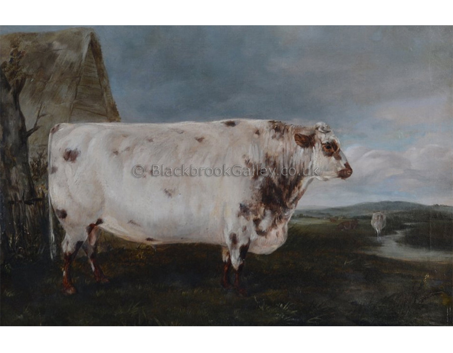 Pair of prize winning shorthorns by William Luker antique animal paintings