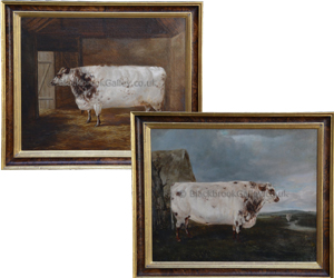 Pair of prize winning shorthorns by William Luker naive animal paintings