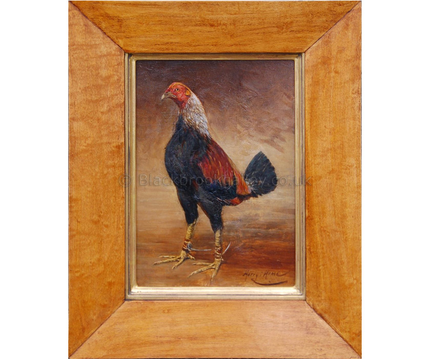 Black Red or Ginger Game Cock by Harry Hime Antique animal portrait