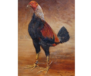 Black Red or Ginger Game Cock by Harry Hime Naive animal paintings