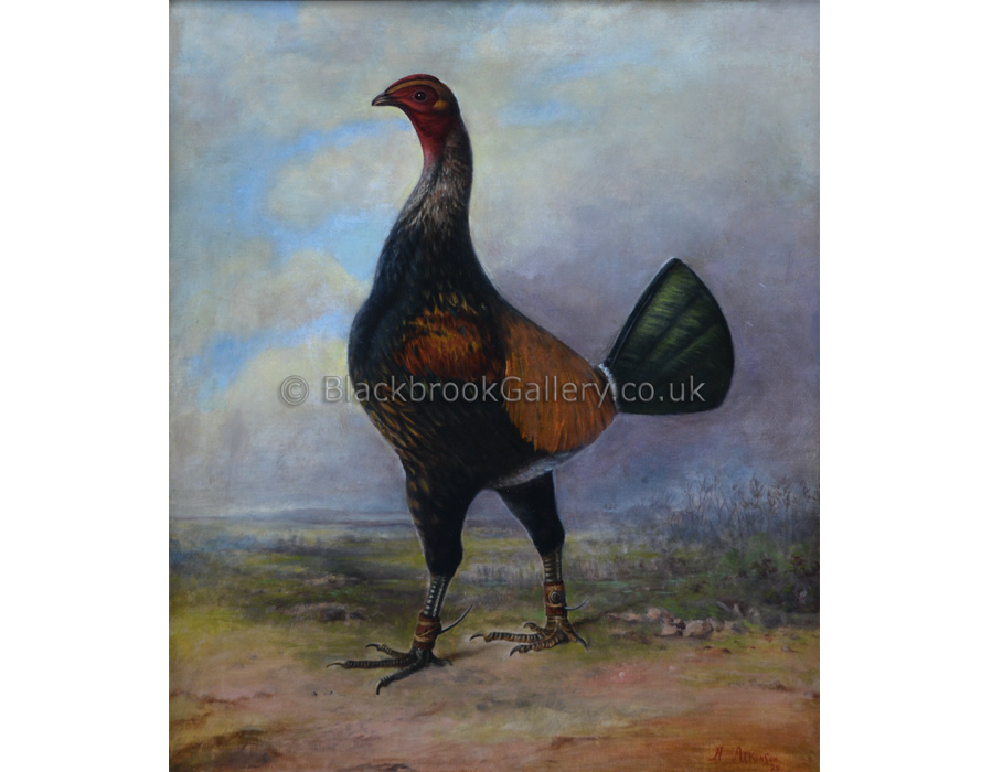 Brown Red Cock by Herbert Atkinson antique animal paintings