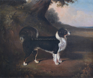 Favourite Collie By E. M. Fox, Antique Naive Painting