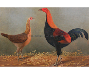 Game Cock & Hen by B. Dayrell Naive animal paintings