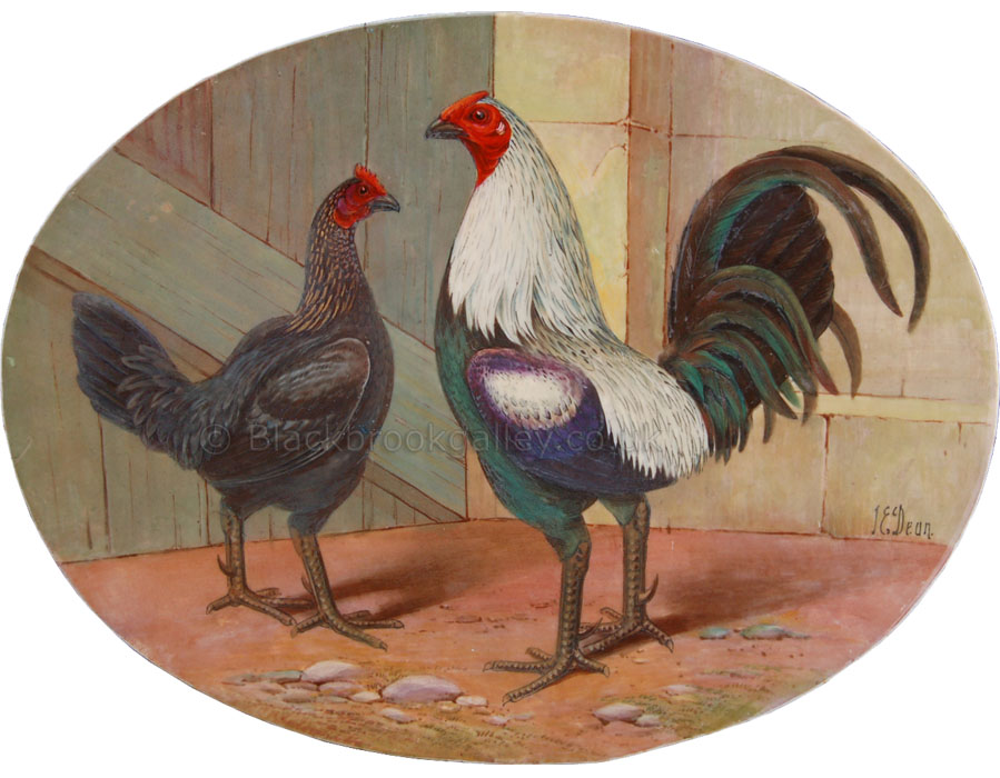 Game Cock & Hen by James Edwin Dean Antique animal paintings