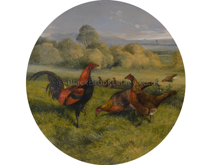 Old English Game Cock & Hen's by Harrison Weir Antique animal paintings