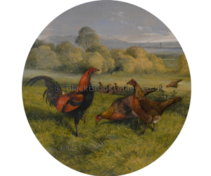 Old English Game Cock & Hen's by Harrison Weir Naive animal paintings