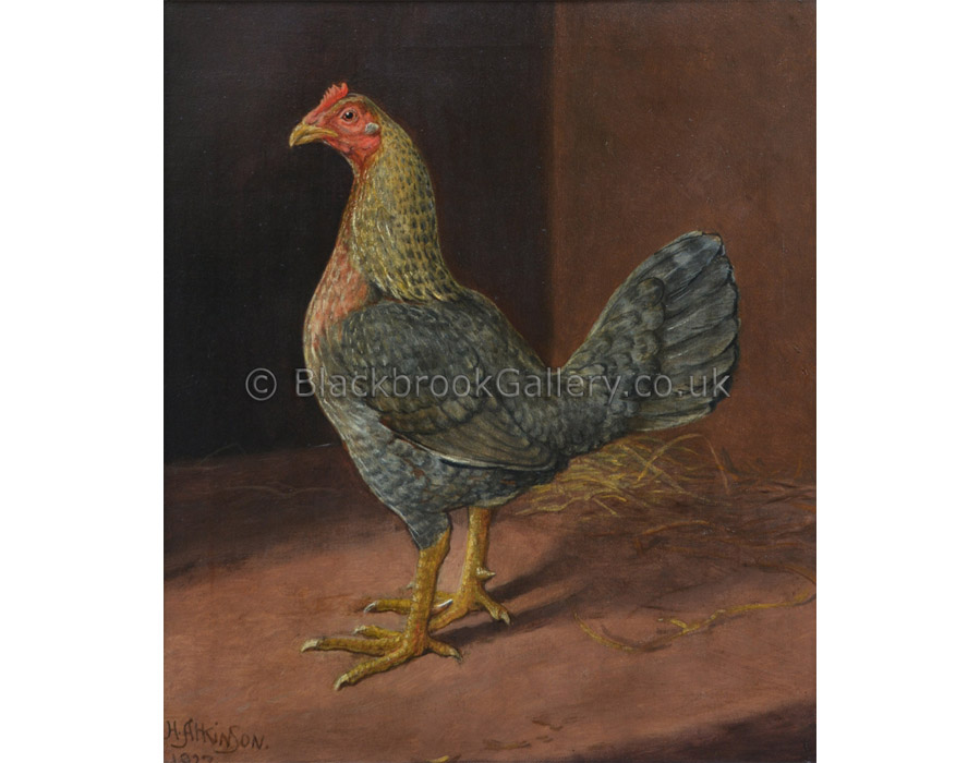 Old English Game Hen by Herbert Atkinson antique animal paintings