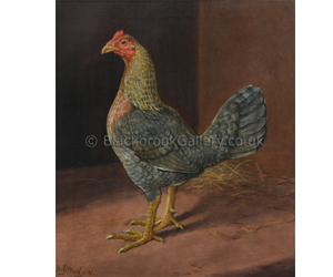 Old English Game Hen by Herbert Atkinson naive animal paintings