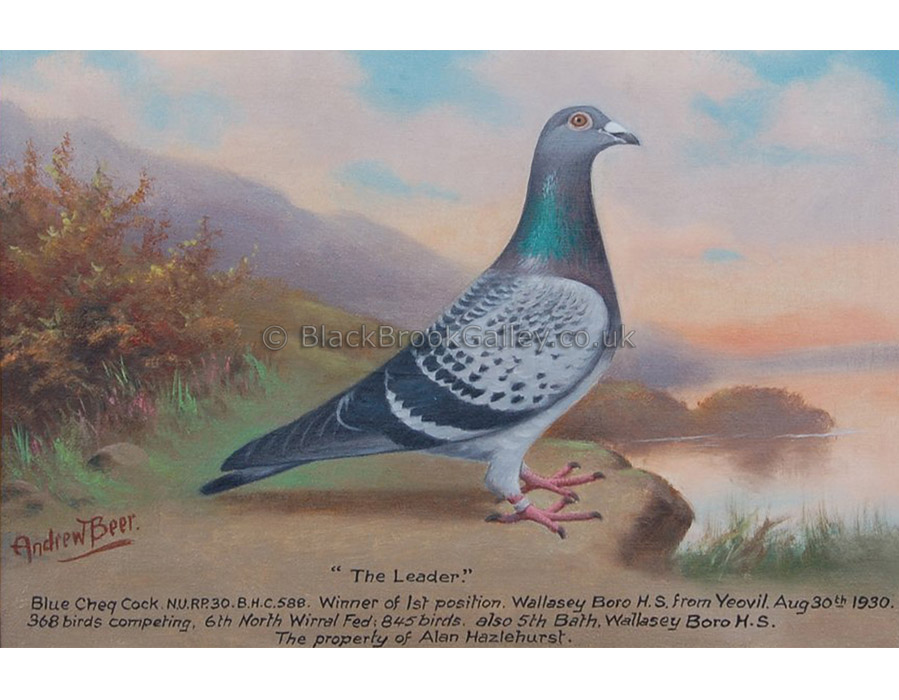 Pair of Pigeons ‘Blue Boy’ & ‘The Leader’ Hen by Andrew W. Beer antique animal paintings