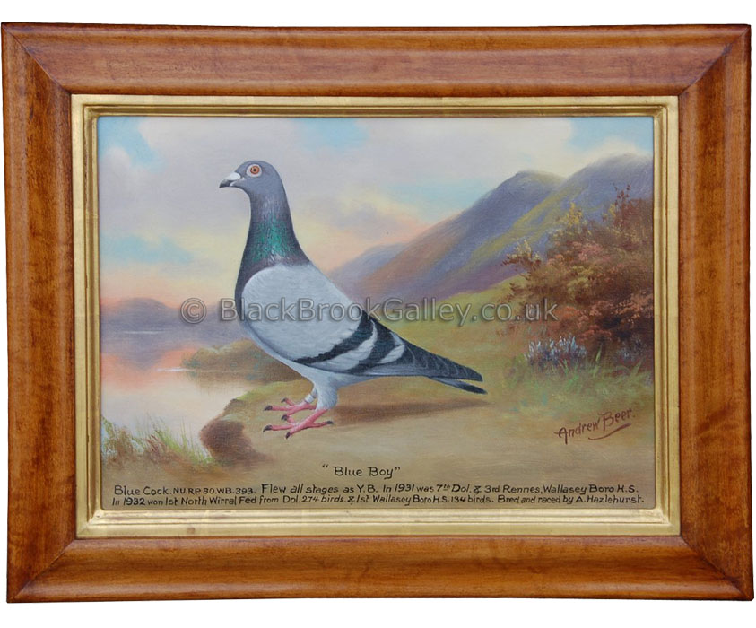 Pair of Pigeons ‘Blue Boy’ & ‘The Leader’ by Andrew W. Beer antique-animal-portrait