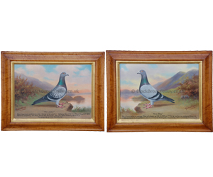Pair of pigeons blue boy and the leader by Andrew W. Beer naive animal paintings