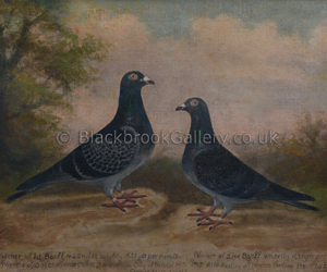 Two Prize Winning Pigeons by Andrew W Beer naive animal paintings