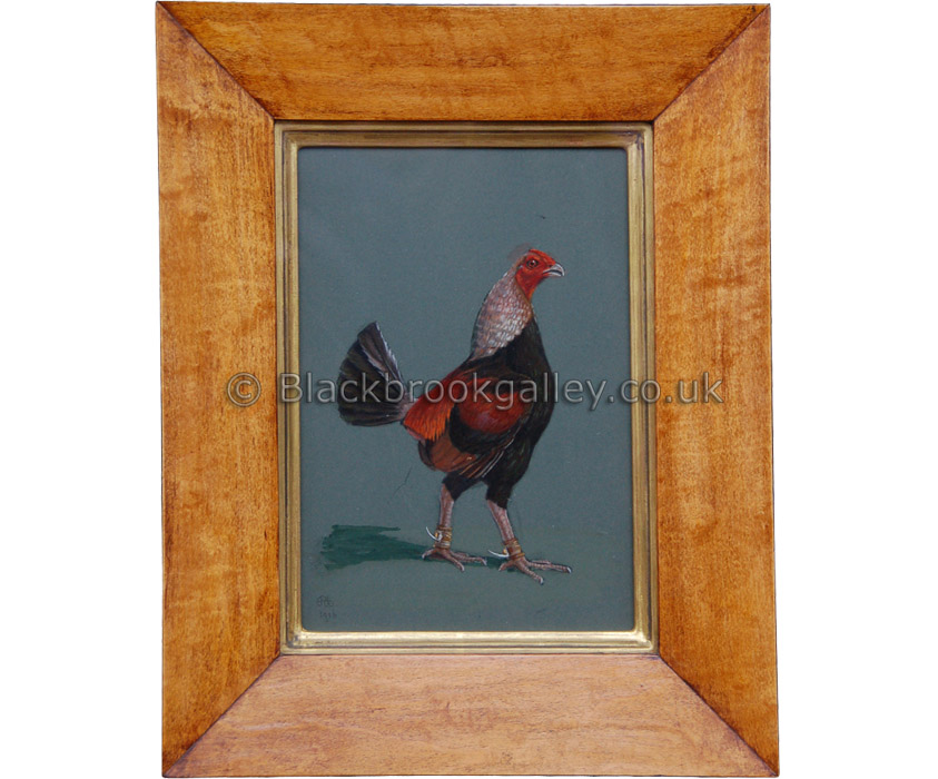 White Hackle Game Cock by Herbert Atkinson Antique animal portrait