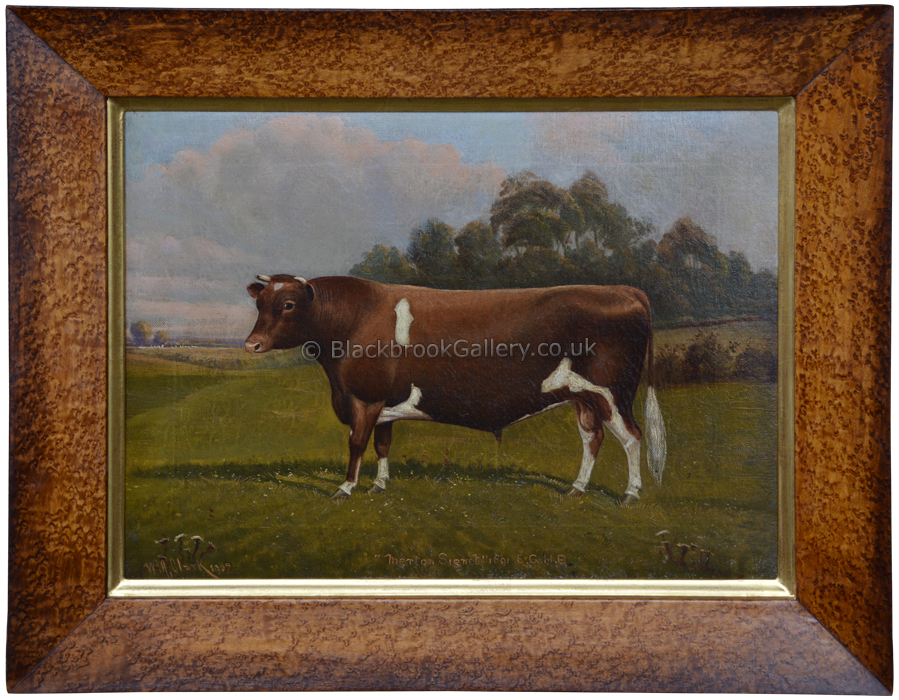 Antique Painting, Guensey Bull Framed By W. A. Clark