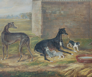 Greyhound bitch and puppies by William Webb naive animal paintings