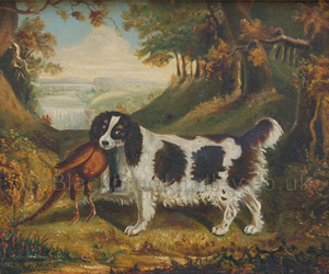 Springer Spaniel with a cock Pheasant