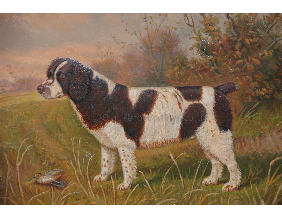 Springer spaniel with a snipe by William Albert Clark antique animal paintings