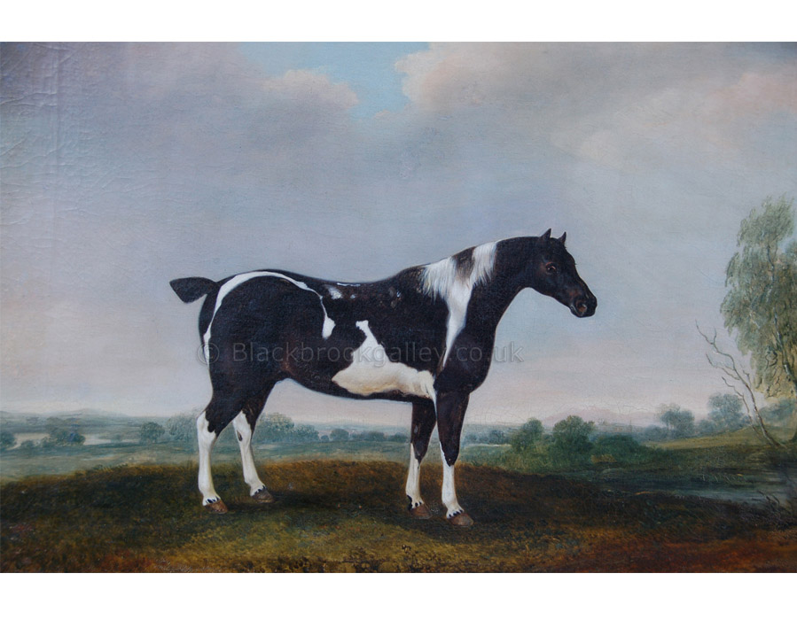 A piebald cob in a landscape by Thomas Weaver antique animal paintings